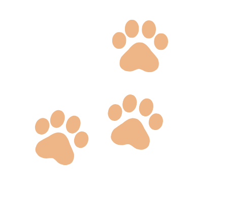 paw