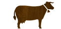 beef